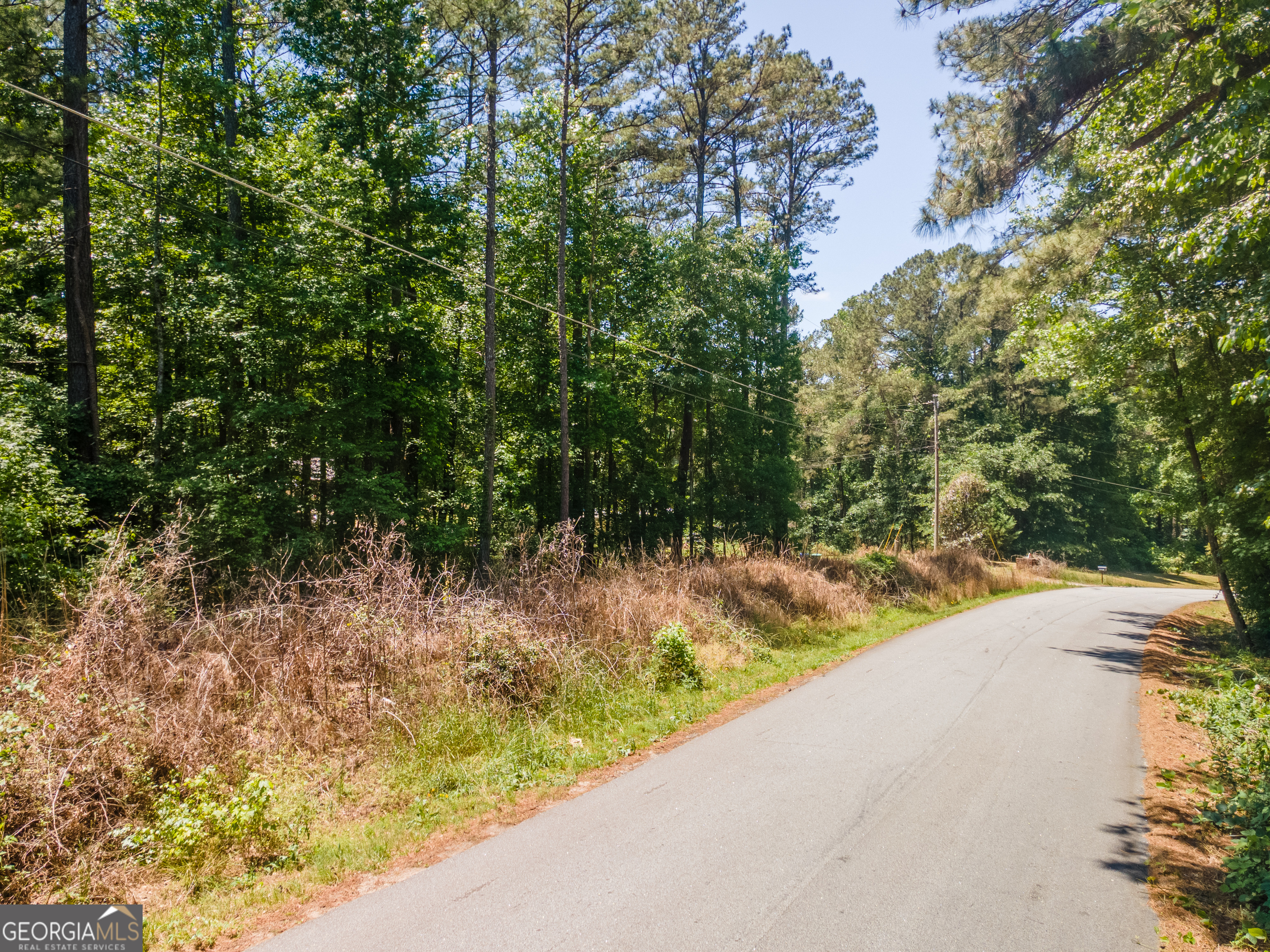 4795 Amsler Road Ellenwood GA 30294