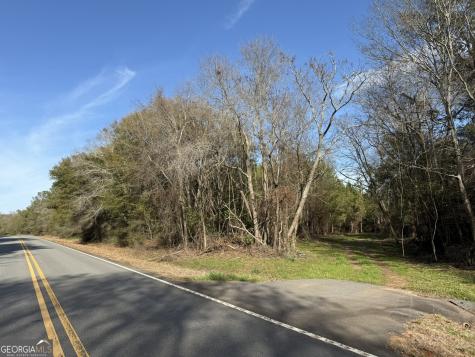 003 Ga Highway 45 Plains GA 31780