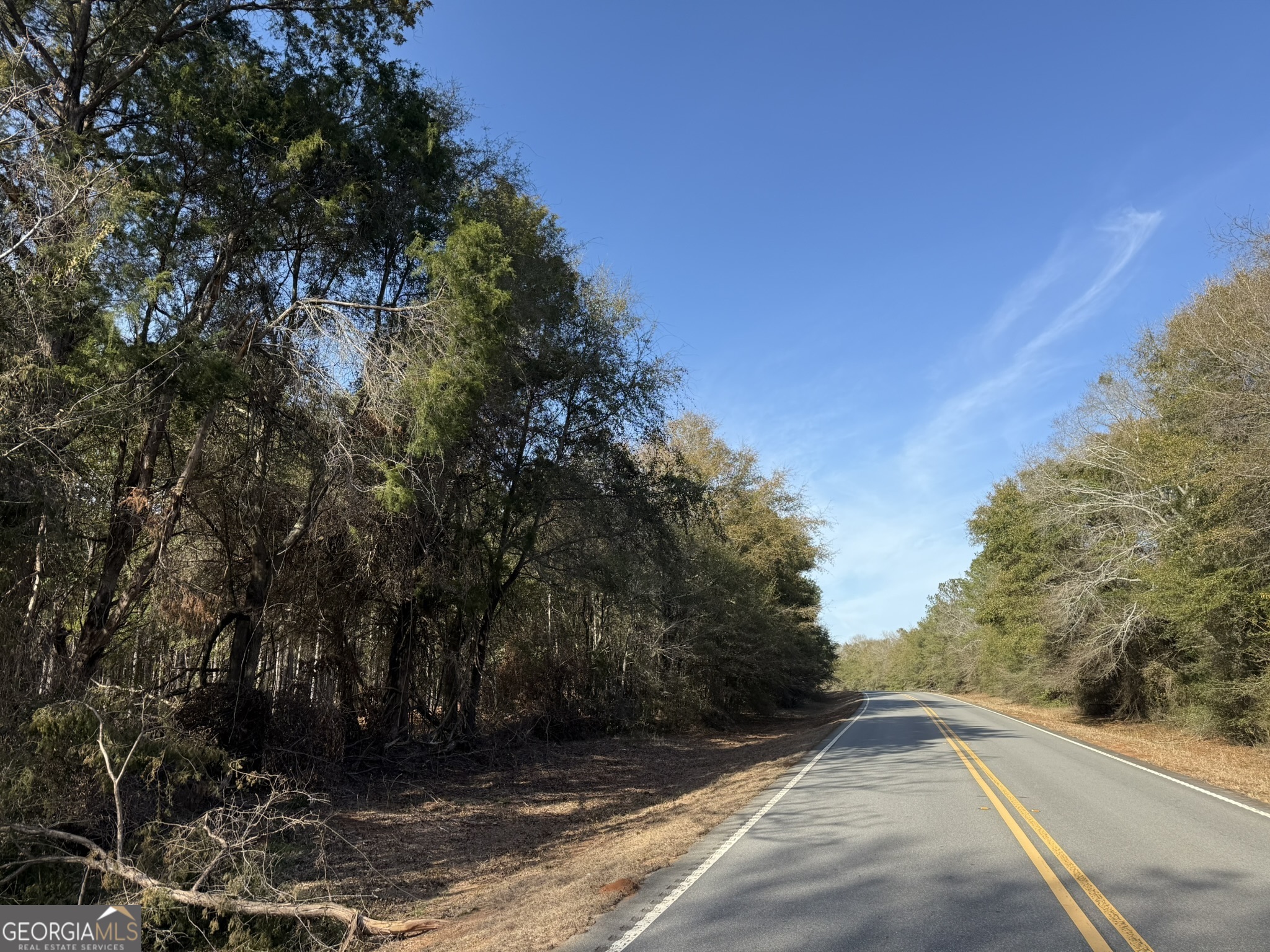 003 Ga Highway 45 Plains GA 31780