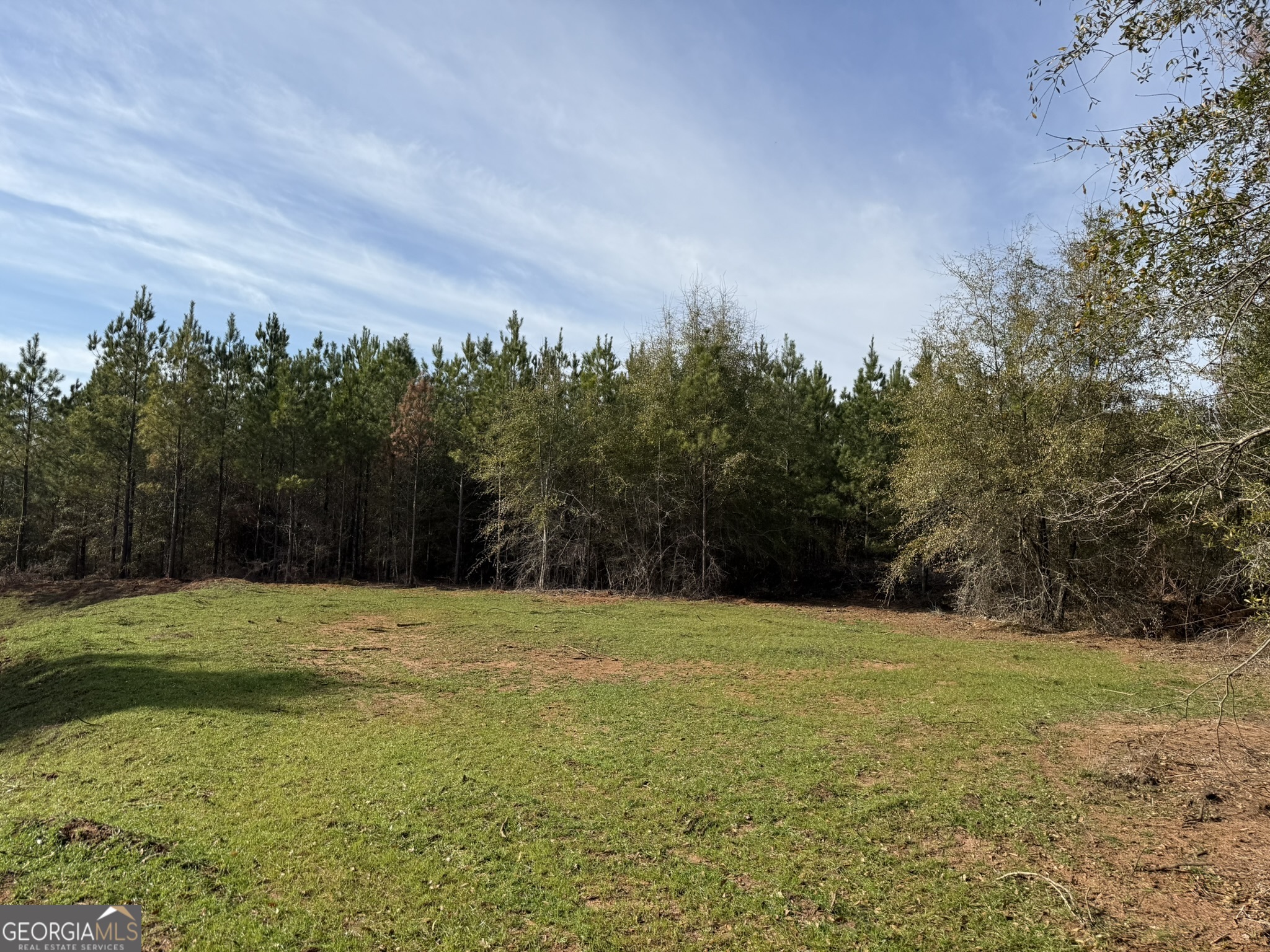 003 Ga Highway 45 Plains GA 31780