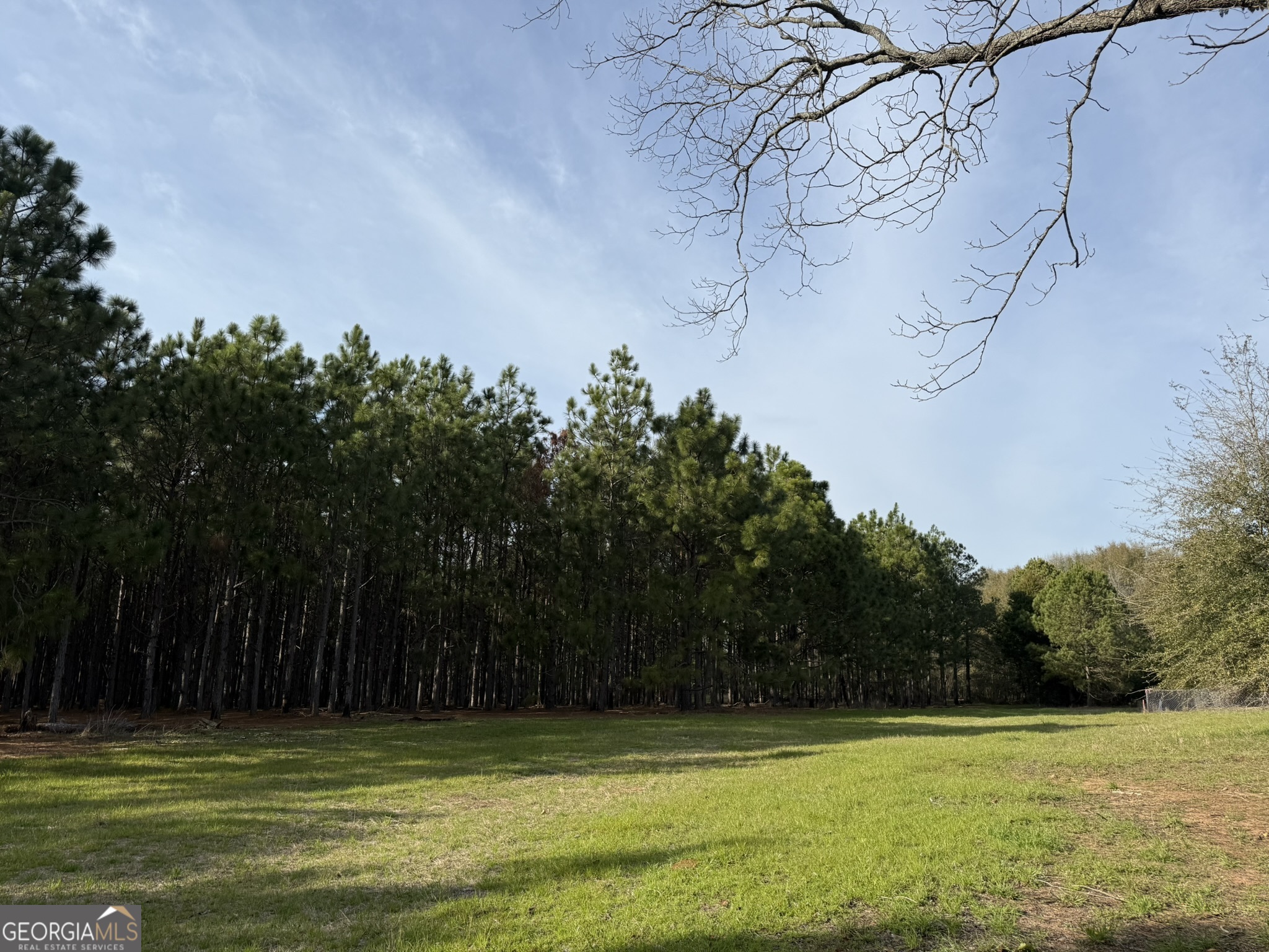 003 Ga Highway 45 Plains GA 31780