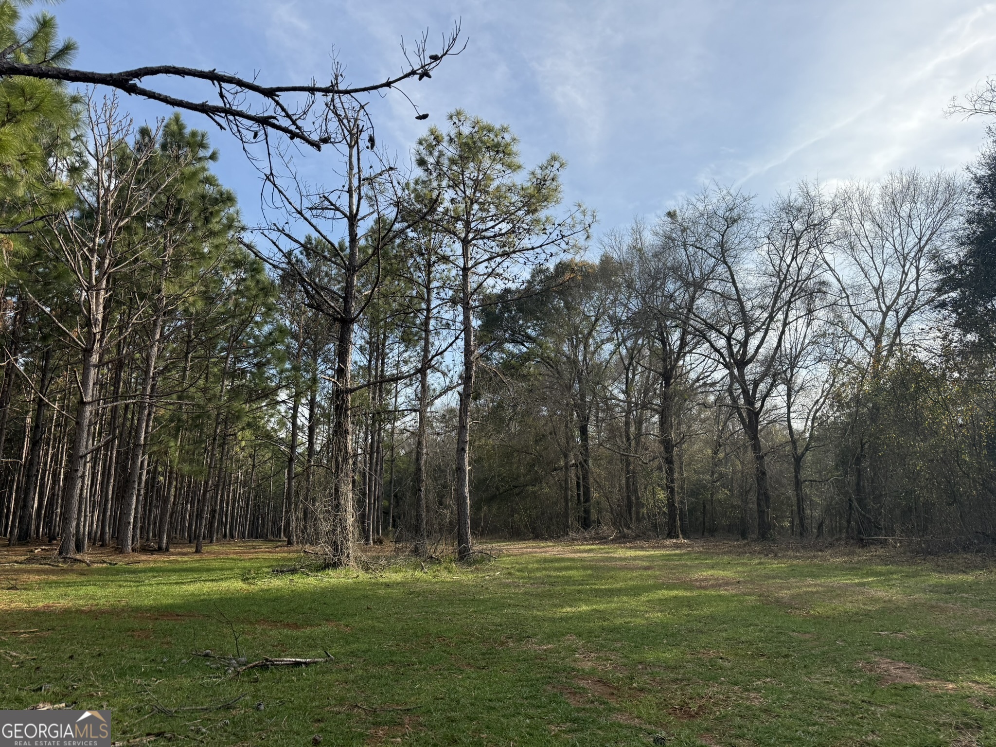 003 Ga Highway 45 Plains GA 31780