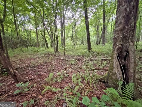 10AC Lovejoy Lane Talking Rock GA 30175