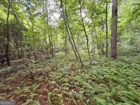 10AC Lovejoy Lane Talking Rock GA 30175