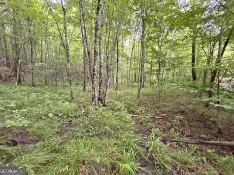 10AC Lovejoy Lane Talking Rock GA 30175