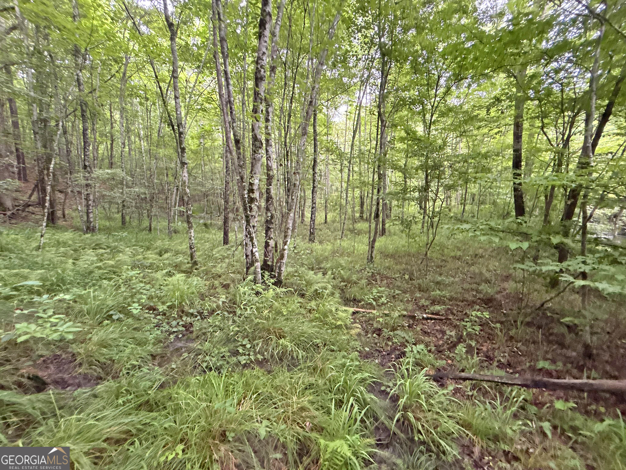 10AC Lovejoy Lane Talking Rock GA 30175