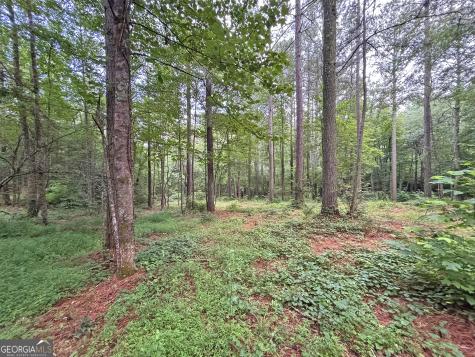 10AC Lovejoy Lane Talking Rock GA 30175