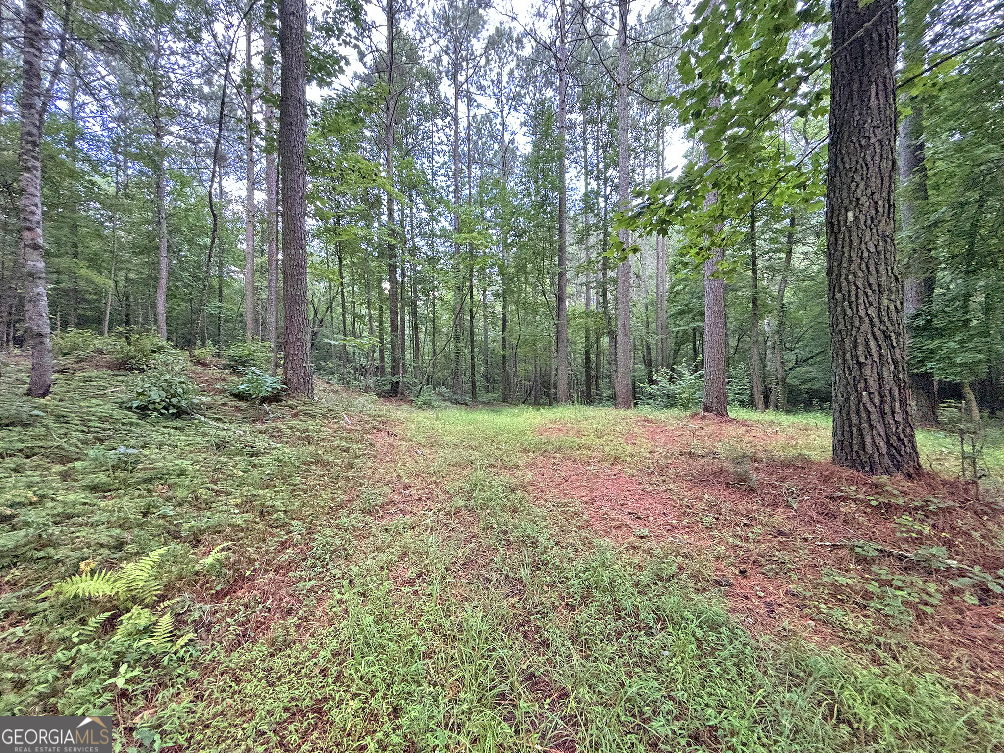 10AC Lovejoy Lane Talking Rock GA 30175