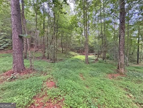10AC Lovejoy Lane Talking Rock GA 30175