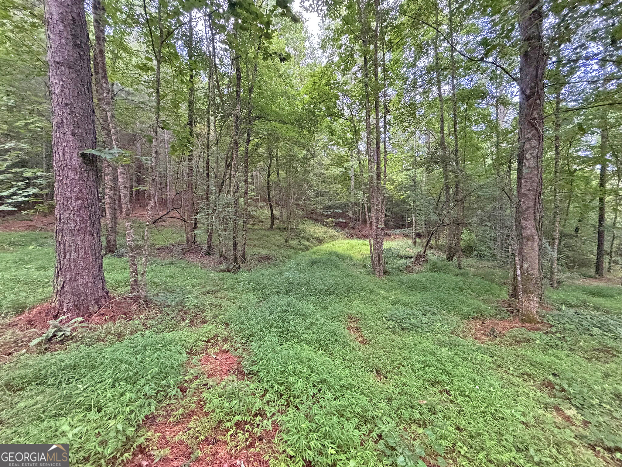10AC Lovejoy Lane Talking Rock GA 30175