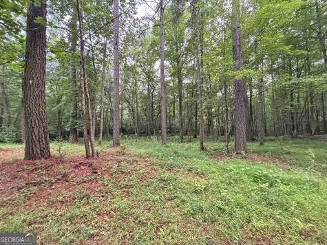 10AC Lovejoy Lane Talking Rock GA 30175