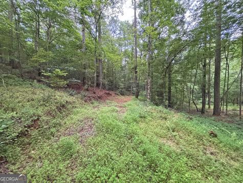 10AC Lovejoy Lane Talking Rock GA 30175