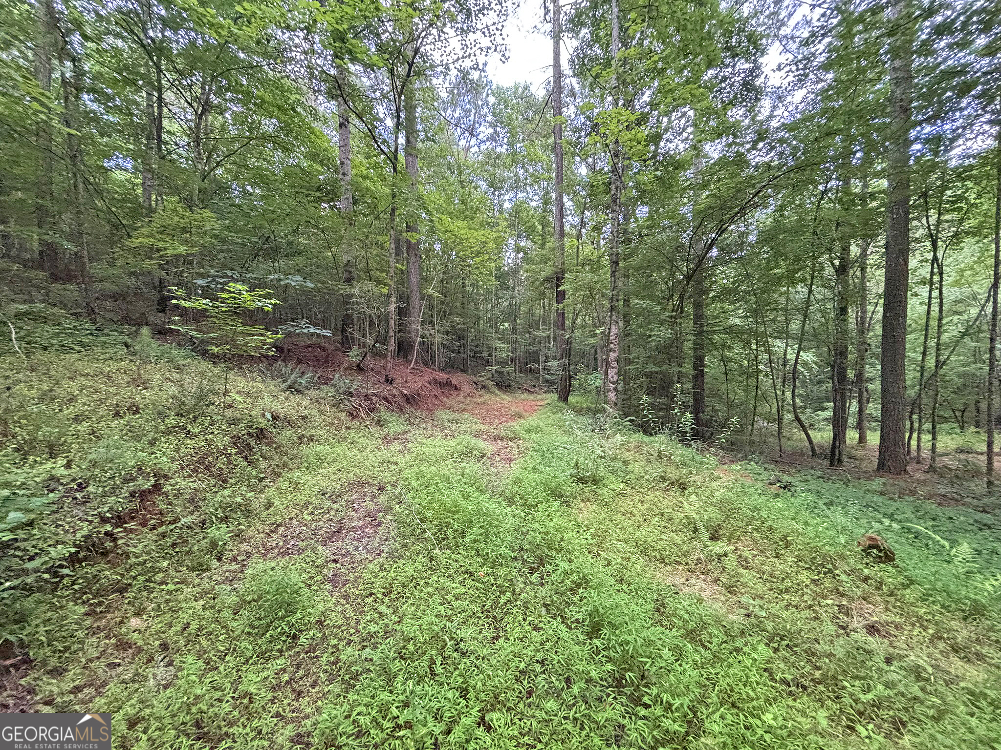 10AC Lovejoy Lane Talking Rock GA 30175