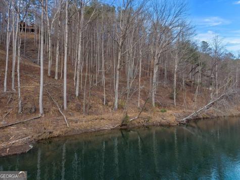 Lot 2965 Monticello Drive Ellijay GA 30540