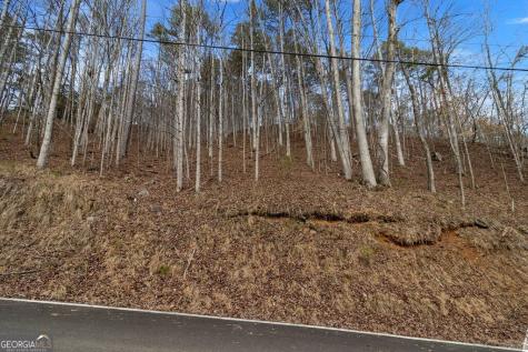 Lot 2965 Monticello Drive Ellijay GA 30540