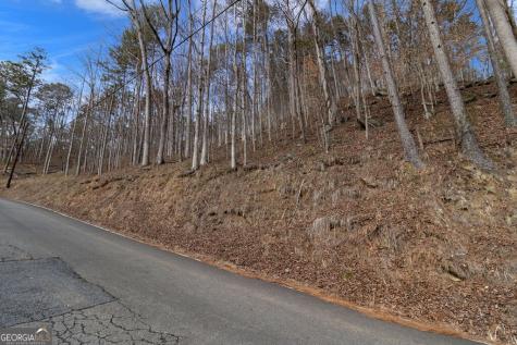 Lot 2965 Monticello Drive Ellijay GA 30540