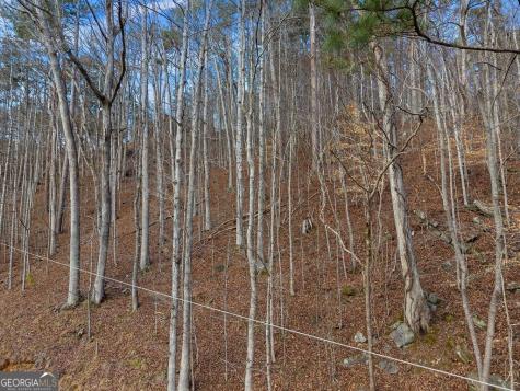 Lot 2965 Monticello Drive Ellijay GA 30540