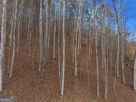 Lot 2965 Monticello Drive Ellijay GA 30540