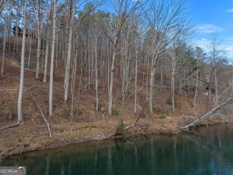 Lot 2965 Monticello Drive Ellijay GA 30540