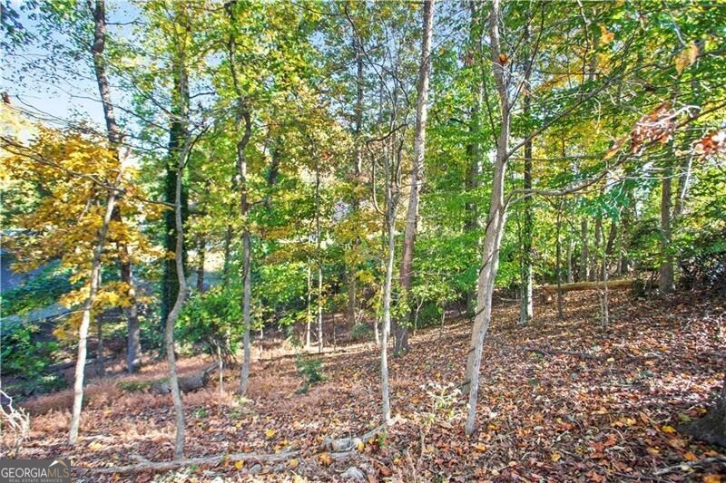 5904 Basswood Cove Buford GA 30518