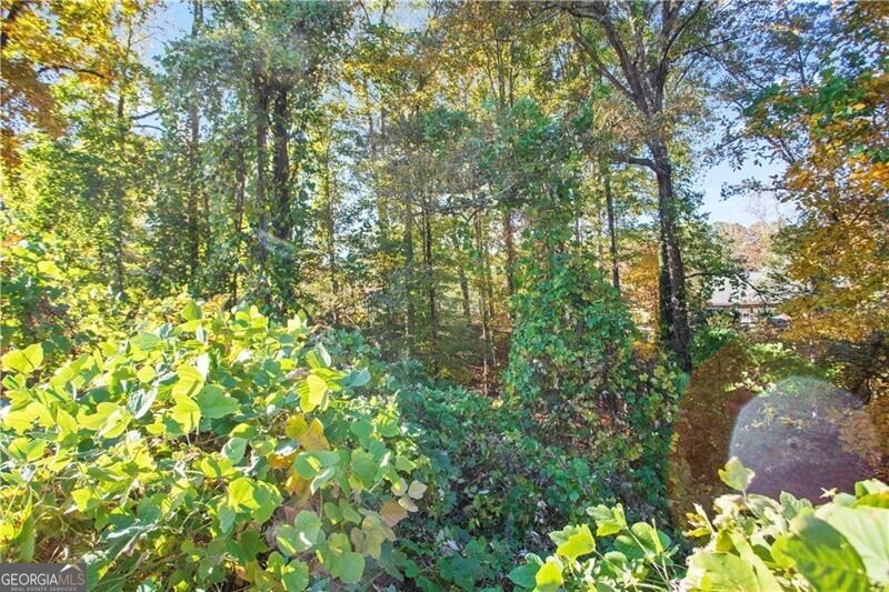5904 Basswood Cove Buford GA 30518