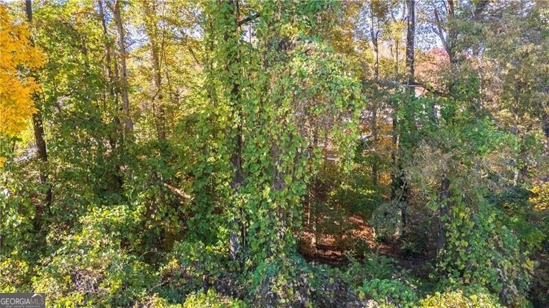 5904 Basswood Cove Buford GA 30518