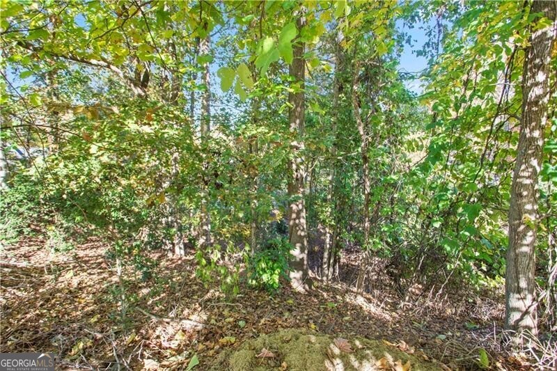 5904 Basswood Cove Buford GA 30518