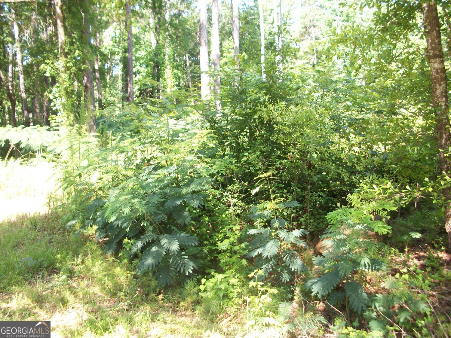 43 Shady Lane Jackson GA 30233