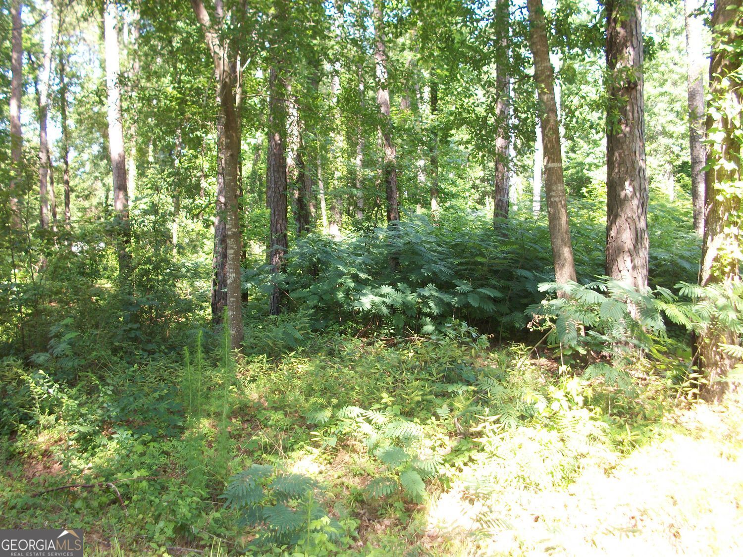 43 Shady Lane Jackson GA 30233