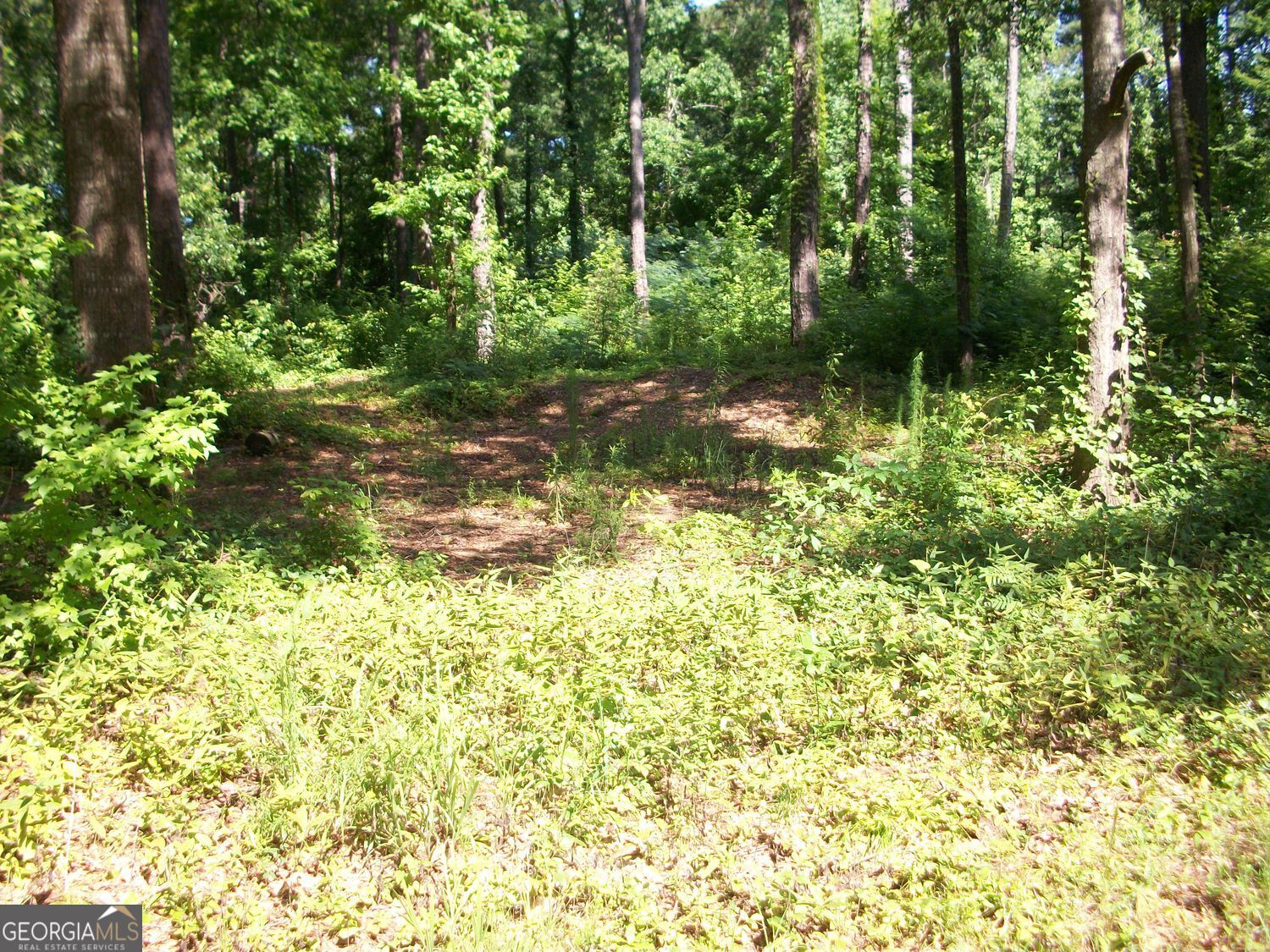 43 Shady Lane Jackson GA 30233