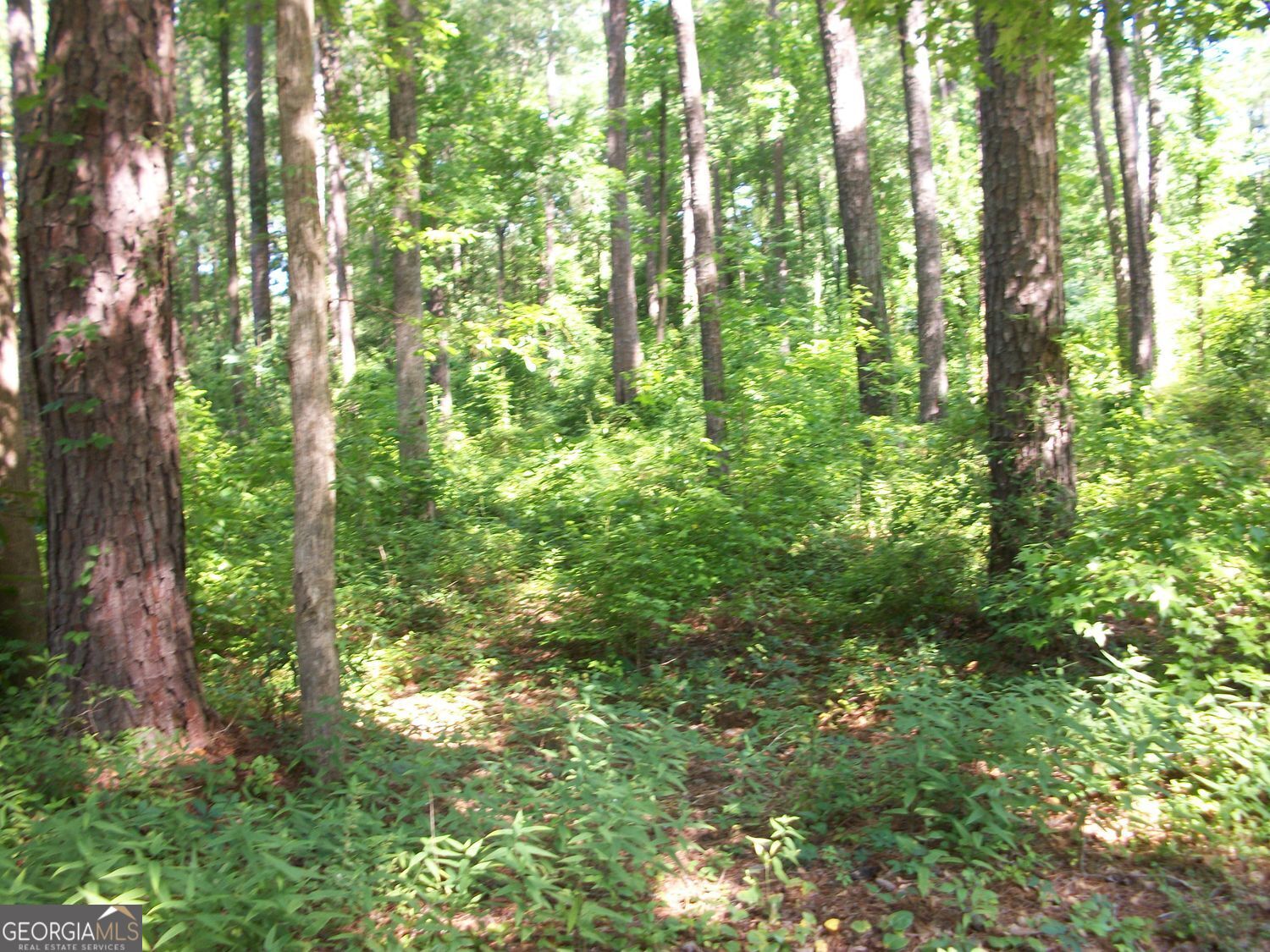 43 Shady Lane Jackson GA 30233