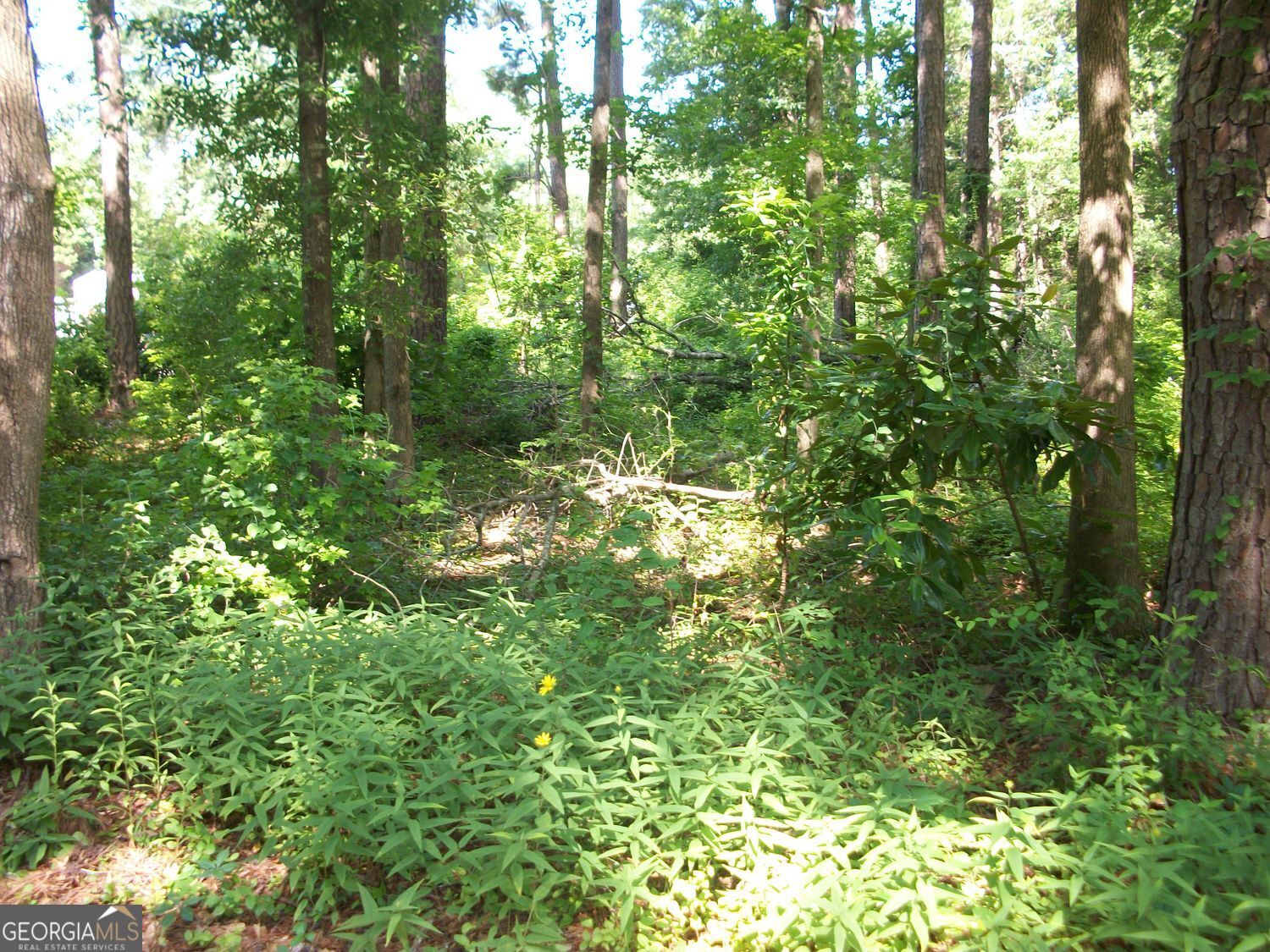 43 Shady Lane Jackson GA 30233