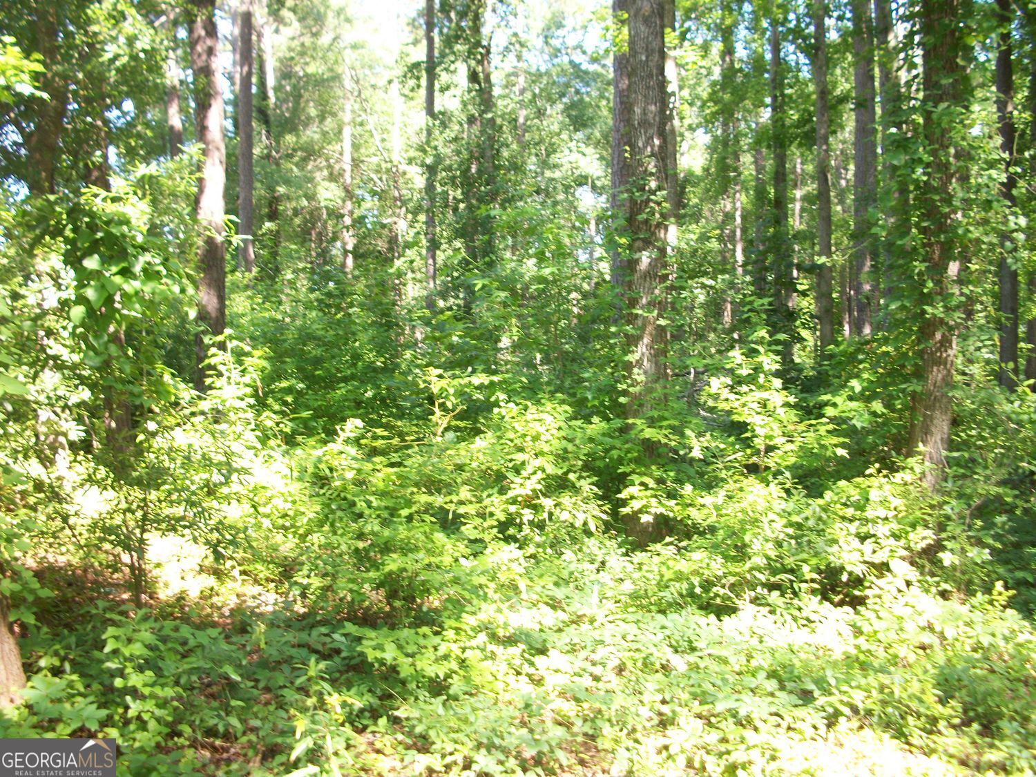 43 Shady Lane Jackson GA 30233