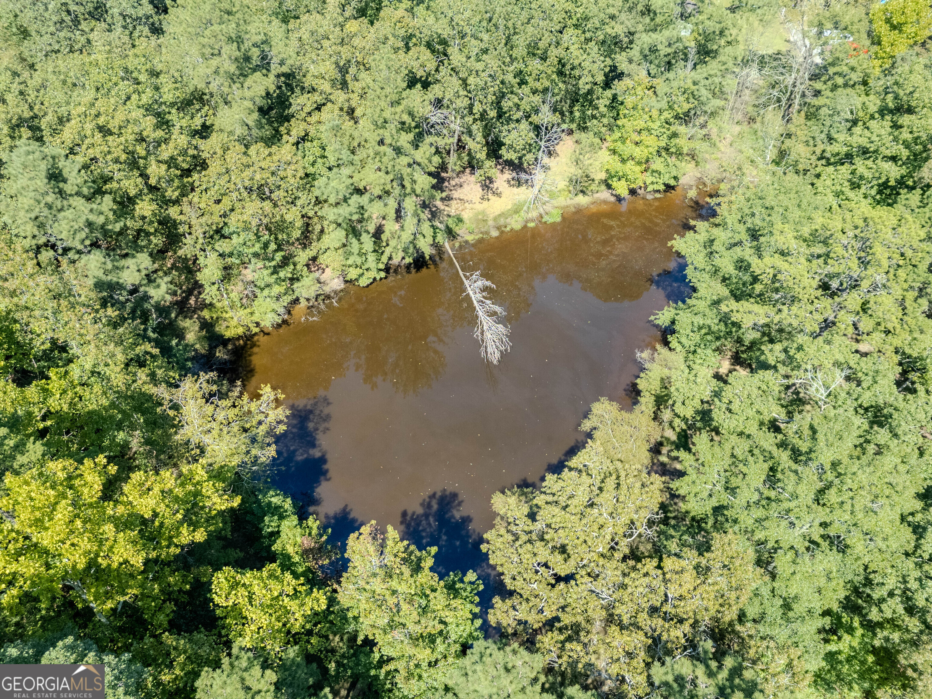 1035 Turkey Mountain Road NE Armuchee GA 30105