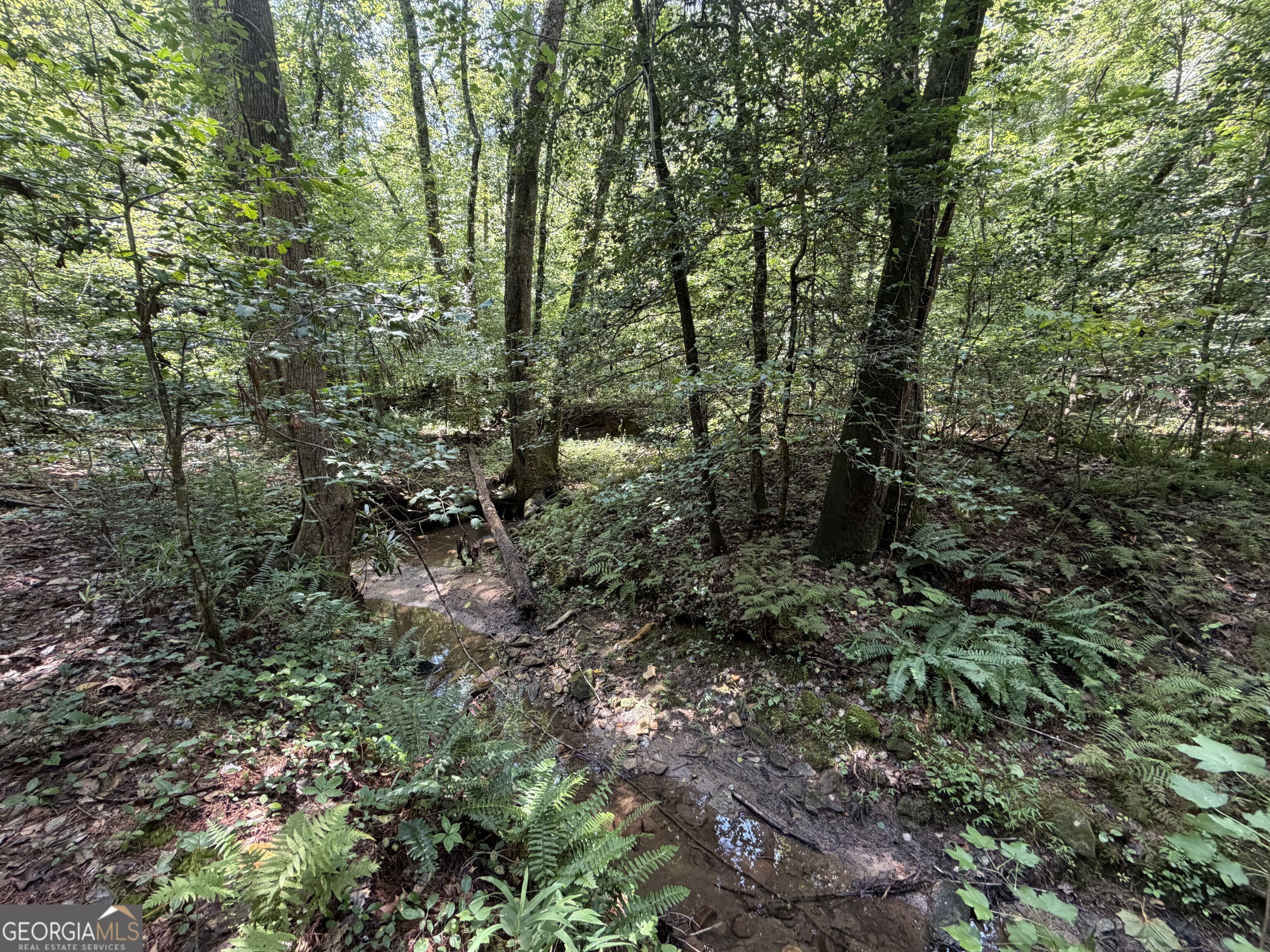 0 Alpine Drive Sautee Nacoochee GA 30571