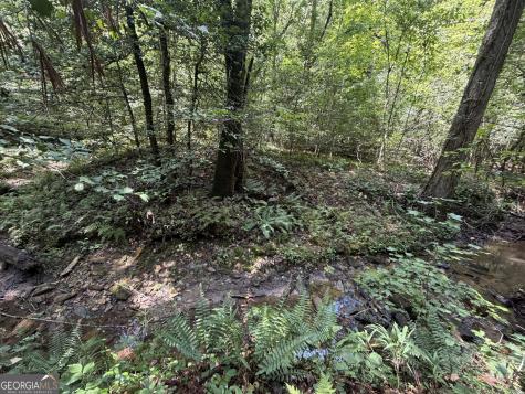 0 Alpine Drive Sautee Nacoochee GA 30571