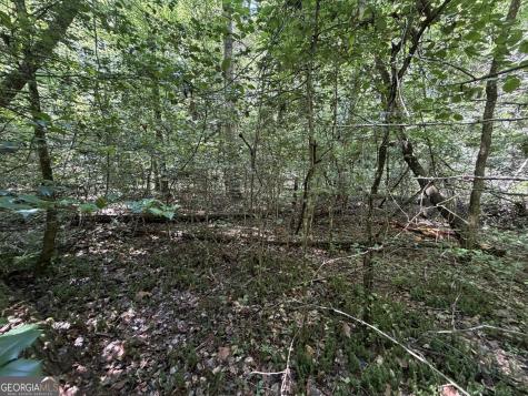 0 Alpine Drive Sautee Nacoochee GA 30571