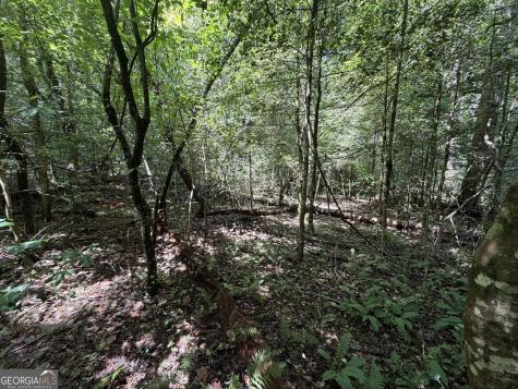 0 Alpine Drive Sautee Nacoochee GA 30571