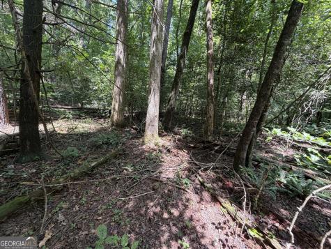 0 Alpine Drive Sautee Nacoochee GA 30571