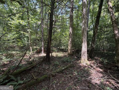 0 Alpine Drive Sautee Nacoochee GA 30571