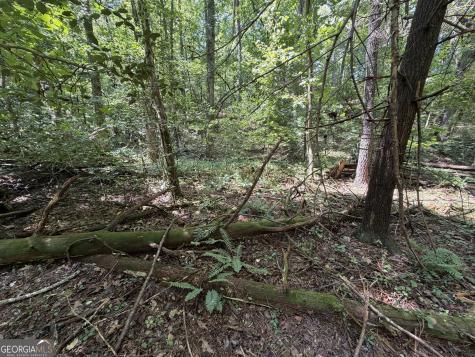 0 Alpine Drive Sautee Nacoochee GA 30571