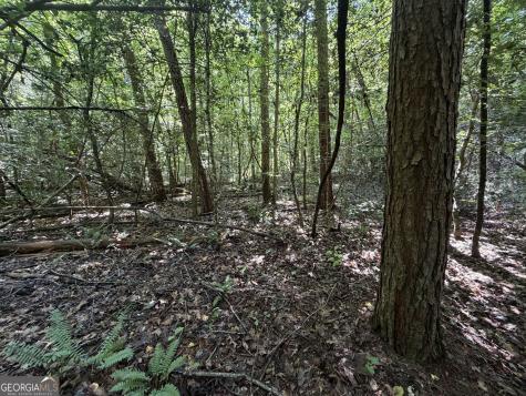 0 Alpine Drive Sautee Nacoochee GA 30571