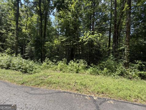 0 Alpine Drive Sautee Nacoochee GA 30571