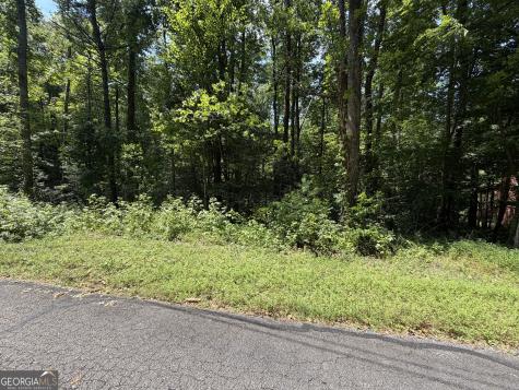 0 Alpine Drive Sautee Nacoochee GA 30571