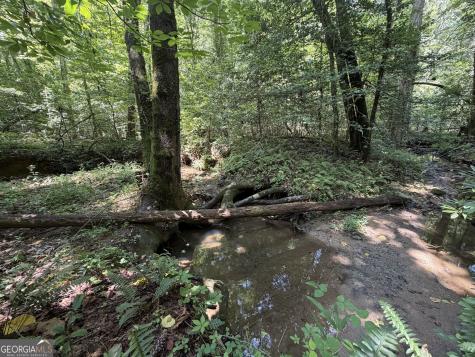 0 Alpine Drive Sautee Nacoochee GA 30571