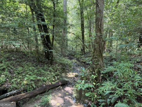 0 Alpine Drive Sautee Nacoochee GA 30571
