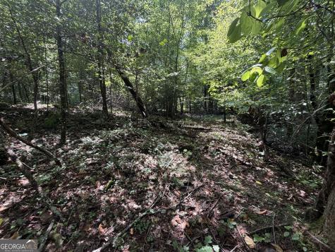 0 Alpine Drive Sautee Nacoochee GA 30571