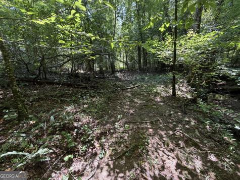 0 Alpine Drive Sautee Nacoochee GA 30571
