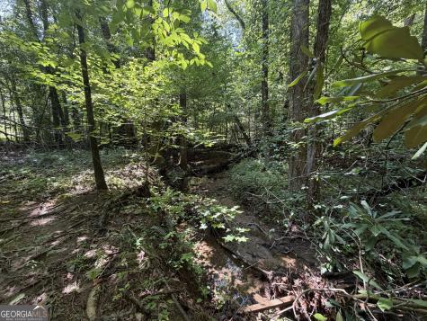 0 Alpine Drive Sautee Nacoochee GA 30571