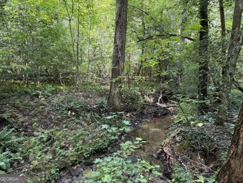 0 Alpine Drive Sautee Nacoochee GA 30571